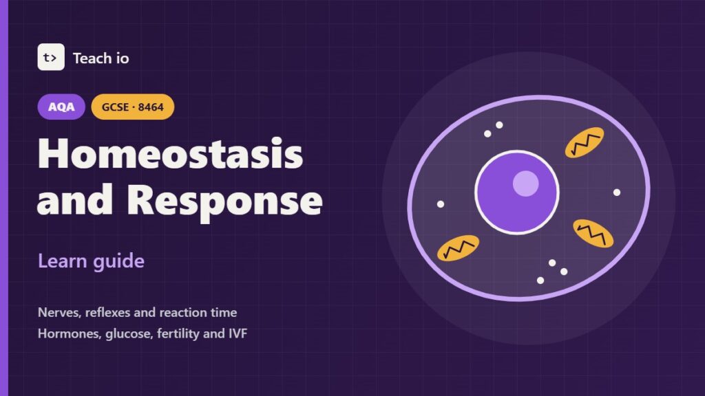 Teach io cover for the AQA GCSE Combined Science homeostasis and response learn guide, with tiles for nerves, hormones, glucose and reflexes