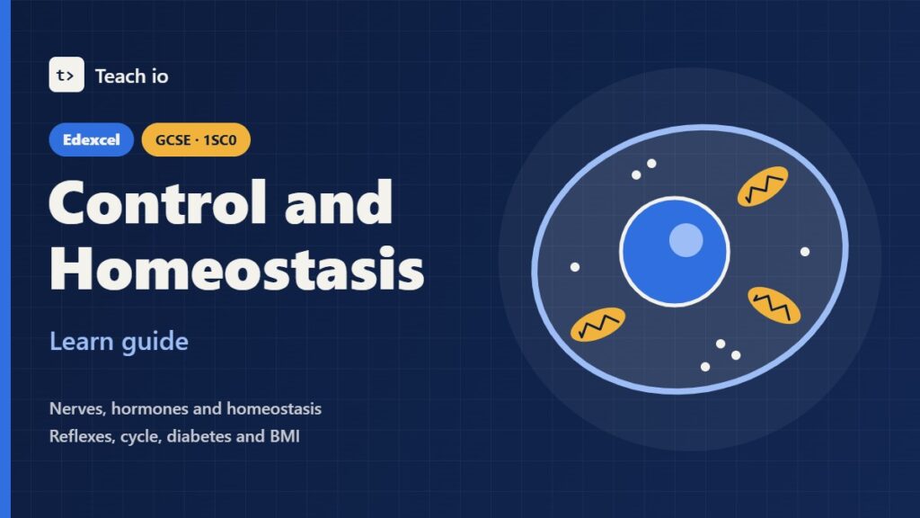 Edexcel GCSE Combined Science Coordination, Control and Homeostasis learn guide cover with tiles for nerves, reflexes, hormones and insulin