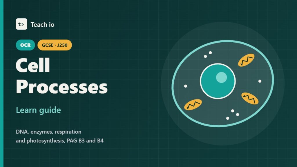 Teach io cover for the OCR GCSE Combined Science B1 Cell Processes learn guide