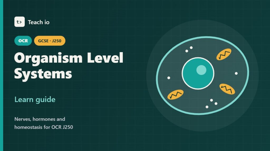 Cover for the OCR GCSE Combined Science B3 Organism Level Systems learn guide