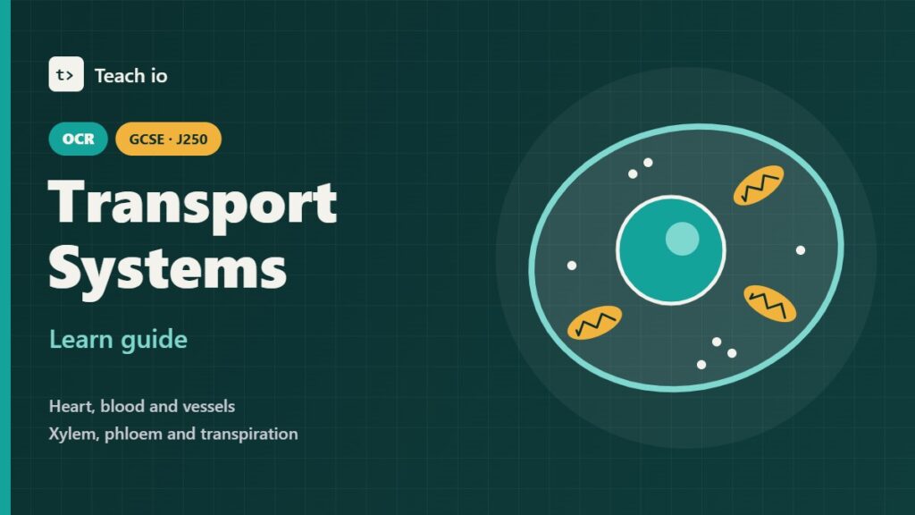 Teach io cover for the OCR GCSE Combined Science Transport Systems learn guide, with tiles for heart, blood, xylem and stomata